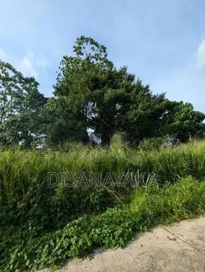 Super Land for Sale Malabe Ds1213