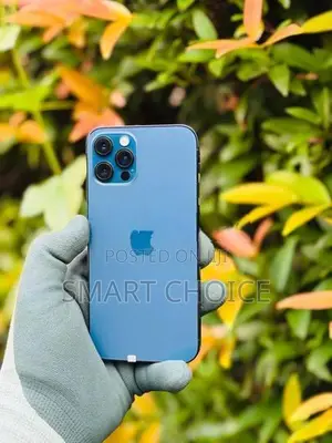 Apple iPhone 12 Pro a1 (Used)