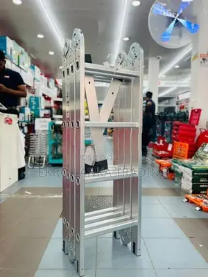 Multi Ladder 12Ft/16Ft/20Ft
