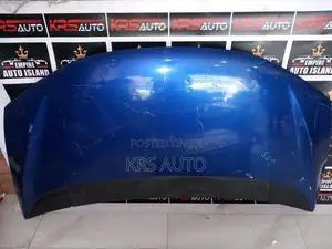 Honda Fit GP 5 Bonnet