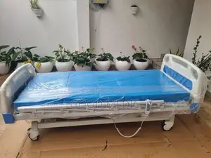 Electric Four Function Hospital Bed