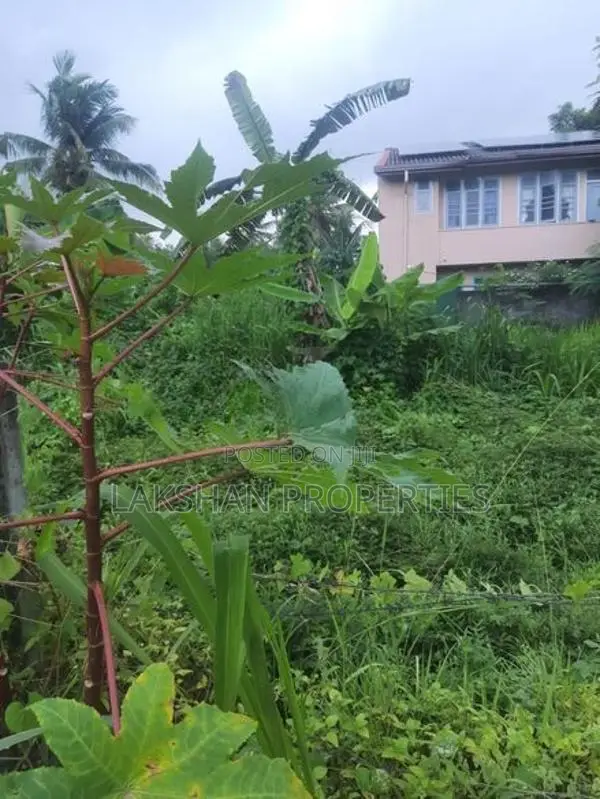 Land For Sale In Boralesgamuwa Raththanapitiya