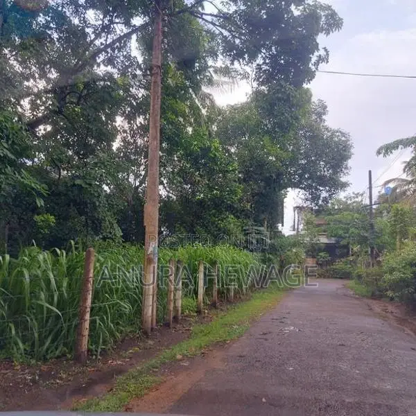 අතුරුගිරිය ප්‍රදෙශයේ පිහිටි ඉඩමක් විකිණීමට ඇත. (ID: ATHU020S)