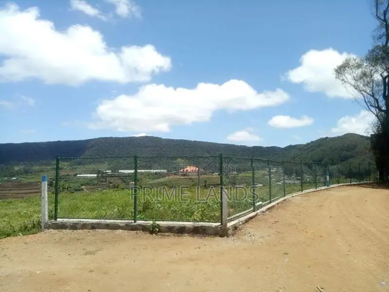 Land for sale Nuwara Eliya