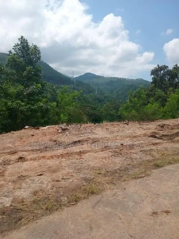 Haputhale : 20 perches commercial Land for Sale at Haldummulla