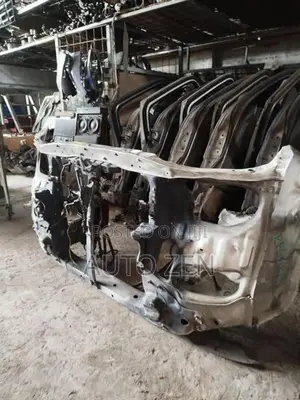Regius Nosecut Panel