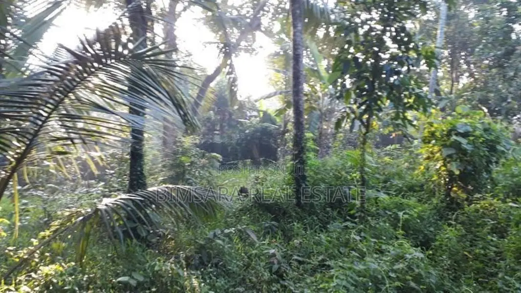 40.3P Land for sale in Yagodamulla, Kotugoda (SL 13185)