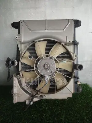 Platz Radiator with complete set