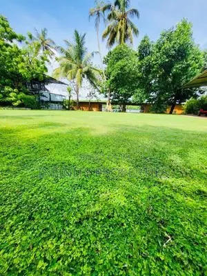 (AFA259) Commercial property sale at Bentota