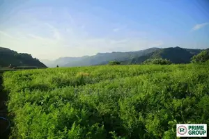 Land for sale Nuwara Eliya