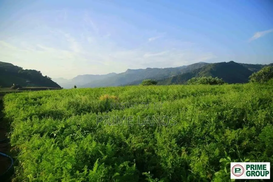 Land for sale Nuwara Eliya