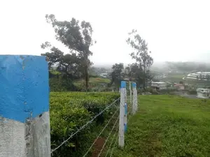 Land for sale Nuwara Eliya Meepilimanna