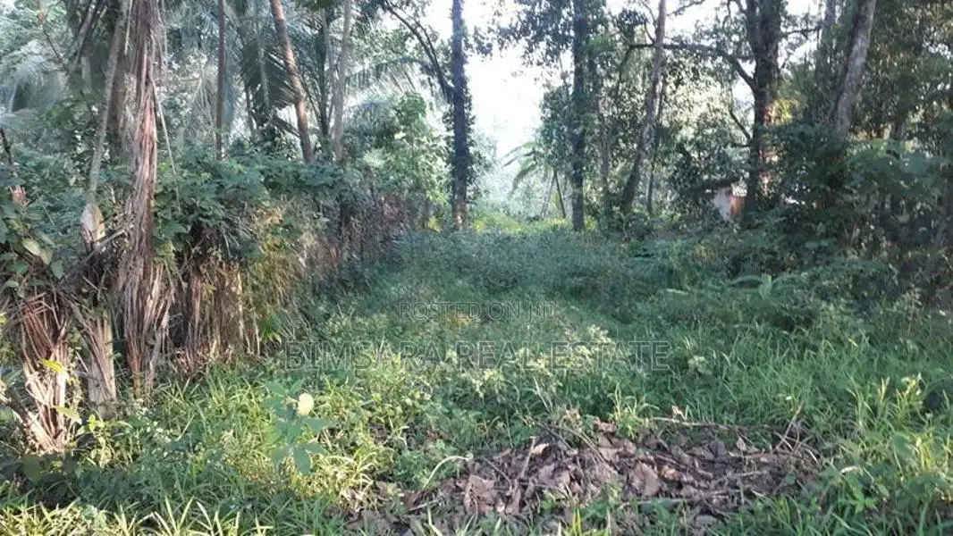 40.3P Land for sale in Yagodamulla, Kotugoda (SL 13185)