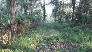 40.3P Land for sale in Yagodamulla, Kotugoda (SL 13185)