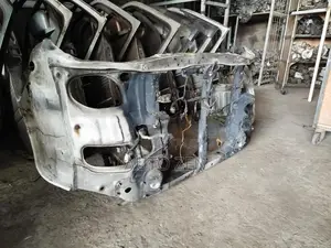 Regius Nosecut Panel