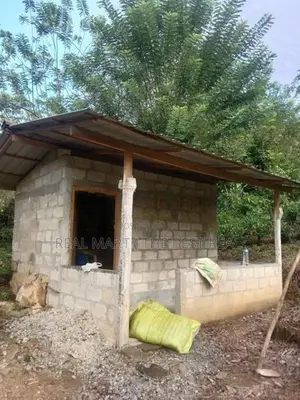 Galle : 143.4 perches Tea estate for Sale at Ihalakeebiya