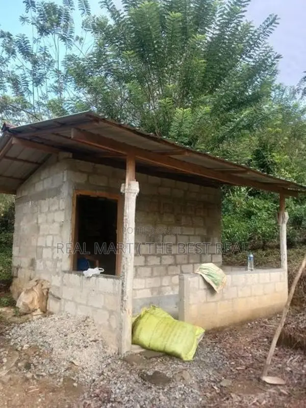 Galle : 143.4 perches Tea estate for Sale at Ihalakeebiya