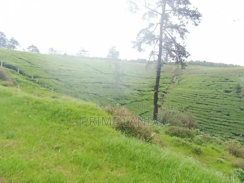 Land for sale Nuwara Eliya