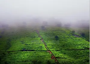 Land for sale Nuwara Eliya