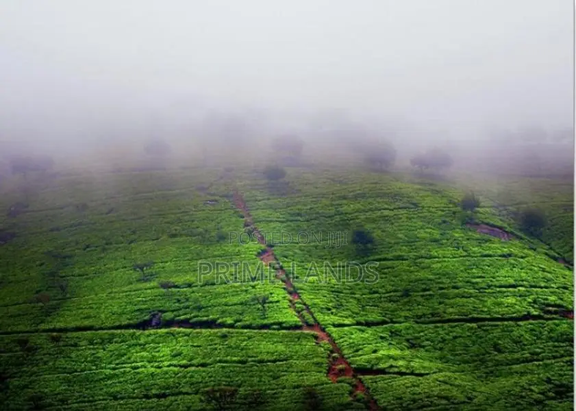 Land for sale Nuwara Eliya