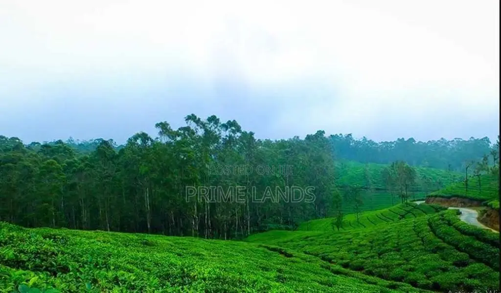 Land for sale Nuwara Eliya