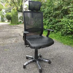ECH009 Back Rest Adjustable Head Office Chair