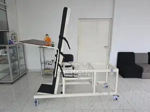 Physiotherapy Bed Electric