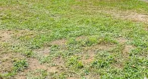 ☆ Talawatugoda Bear Land for Sale ( RS-315)