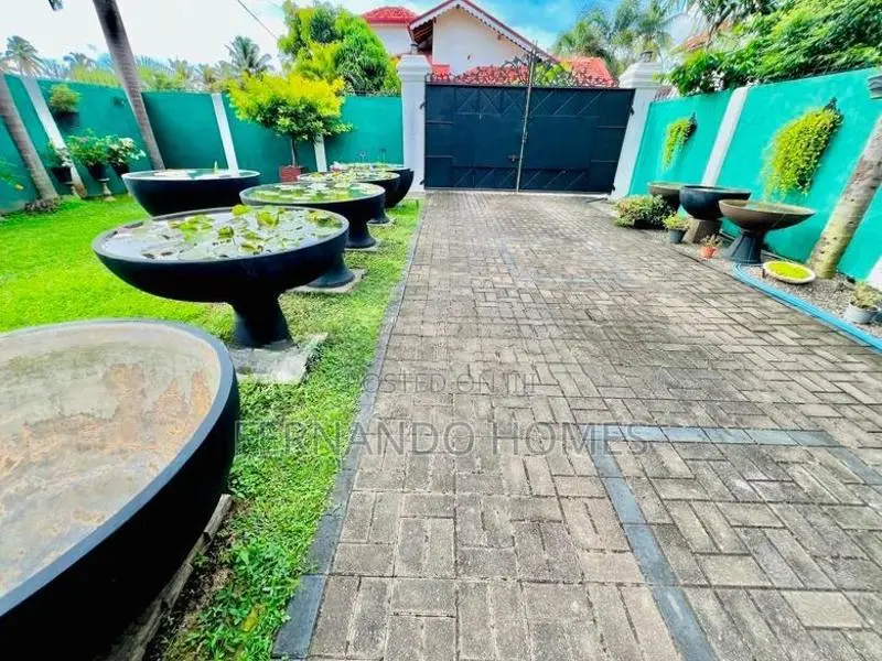 Landscaped Beautiful Garden With Furnished Luxury Up House Sale Negomb