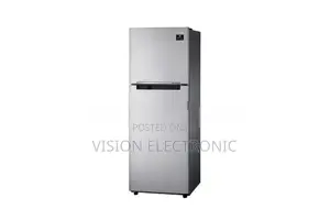 Samsung RT40 Inverter Refrigerator 253L