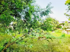 28.65 P Bare Land sale At Devala Road Nugegoda