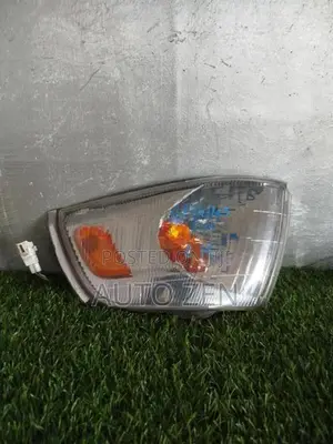Regius Parking Light Left Side Nickel Frame