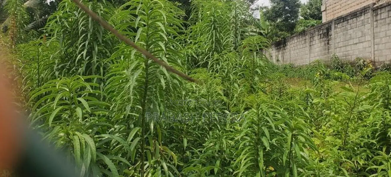 25 Perches Land for Sale in Kotte Madiwela