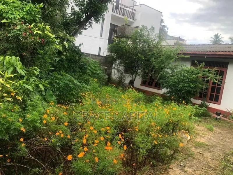 Land for With a Livable Old House Sale Malabe