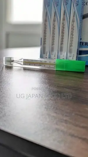 Clinical Thermometer / Flat Mercury
