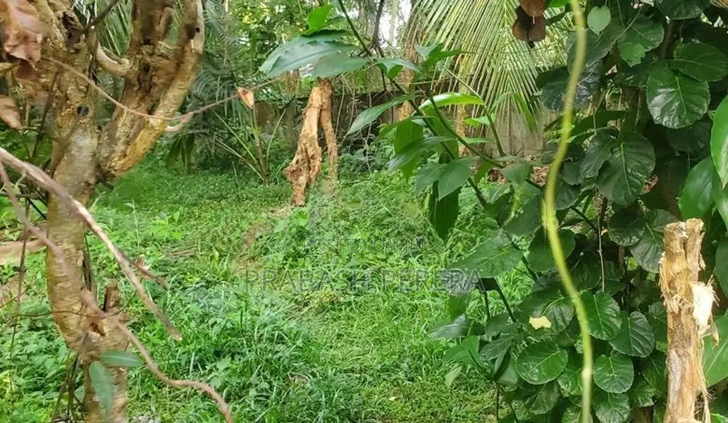 Block Of 15 Perches for Sale in Maharagama