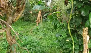 Block Of 15 Perches for Sale in Maharagama