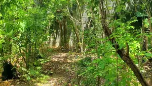 7 Perches Land for Sale in Nugegoda