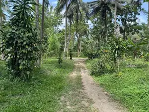 7 ACRE LAND FOR LONG TERM LEASE KADUWELA