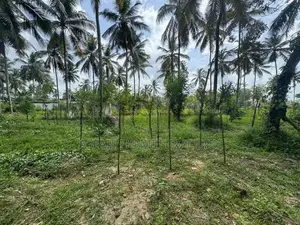 7 ACRE LAND FOR LONG TERM LEASE KADUWELA