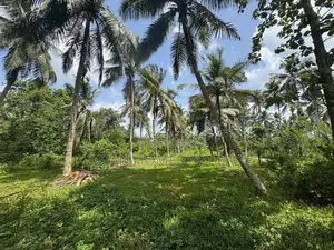 7 ACRE LAND FOR LONG TERM LEASE KADUWELA