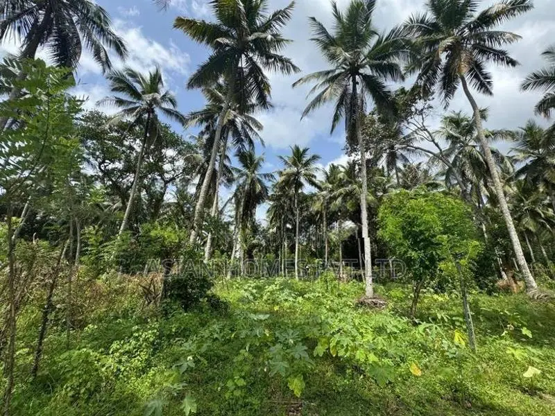 7 ACRE LAND FOR LONG TERM LEASE KADUWELA
