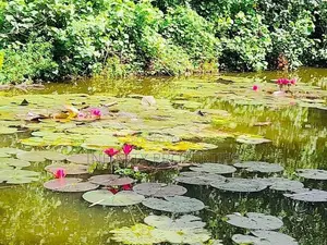 Water Front Facing 15 P Land with House Sale at Ethulkotte
