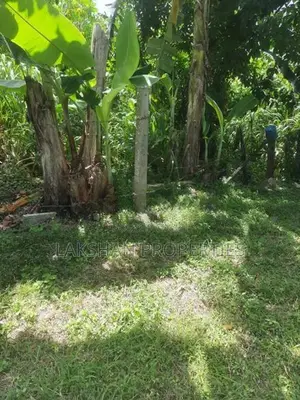 Land For Sale In Maharagama