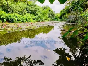 Water Front Facing 15 P Land with House Sale at Ethulkotte