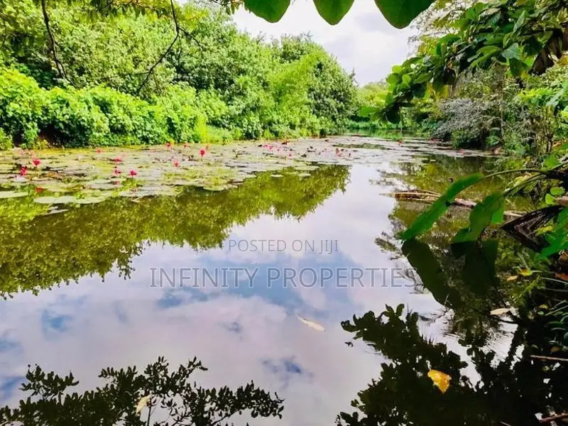 Water Front Facing 15 P Land with House Sale at Ethulkotte