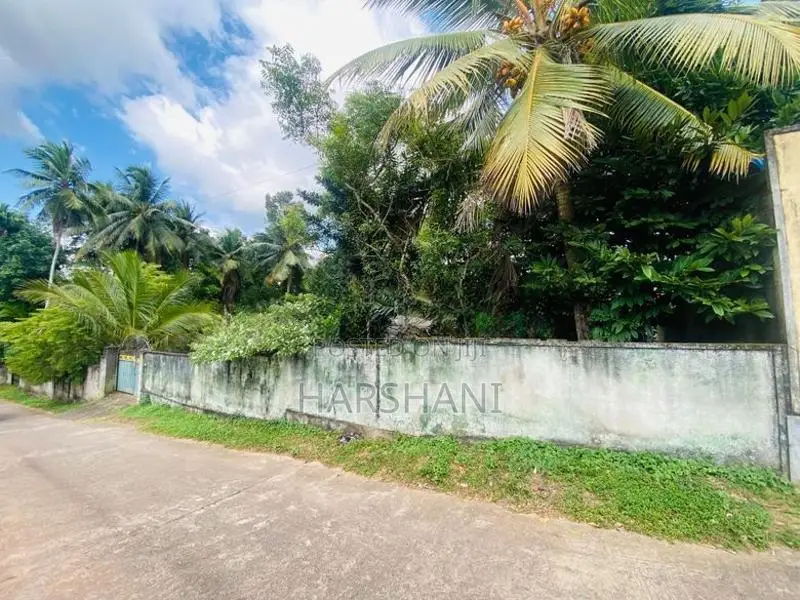 9P Two Blocks or 18P entire Land -Walking Distance to New Kandy Road