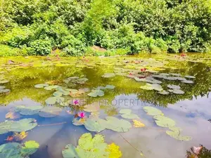 Water Front Facing 15 P Land with House Sale at Ethulkotte