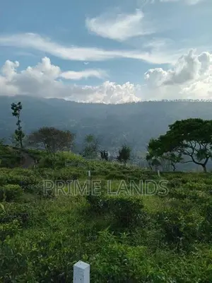 Mountain Range View Point Land for Sale Hatton