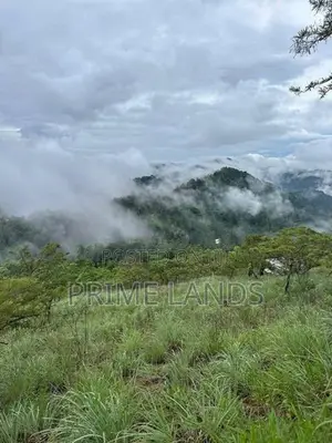 Land for sale Nuwara Eliya Hatton